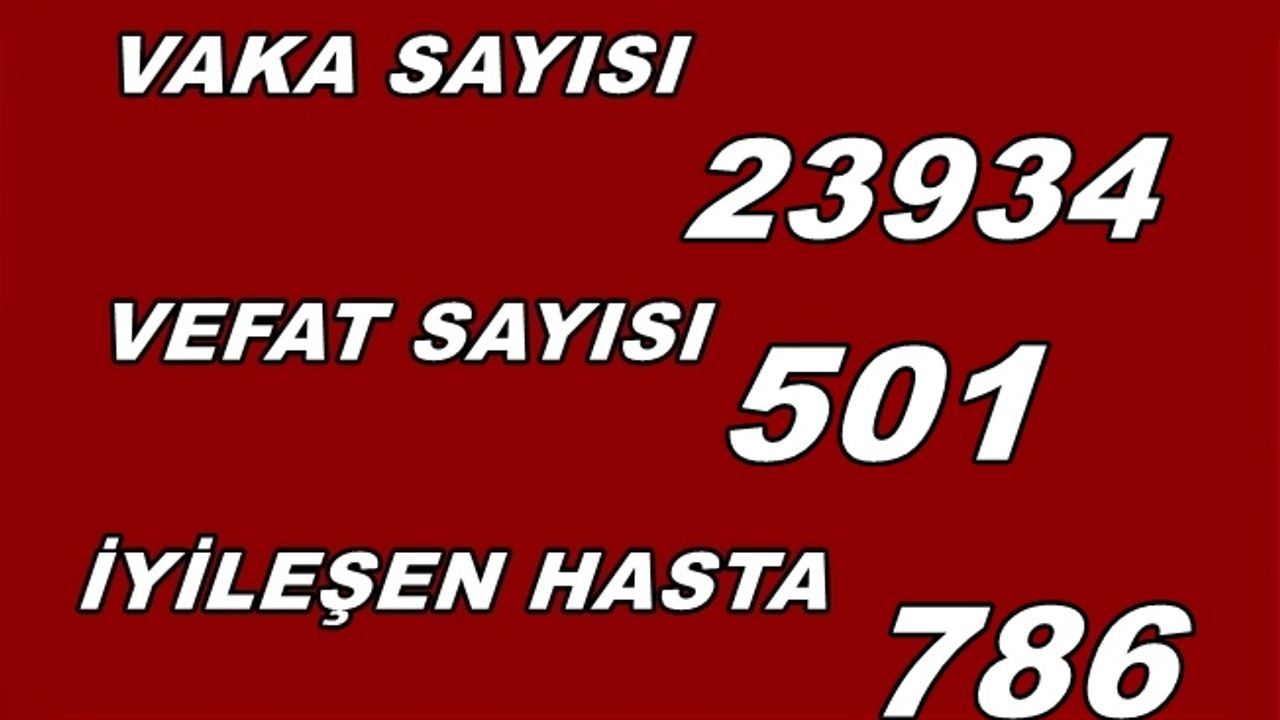 Koronavirüs'ten ölenlerin sayısı  501'e vaka 23 bin 934'e yükseldi