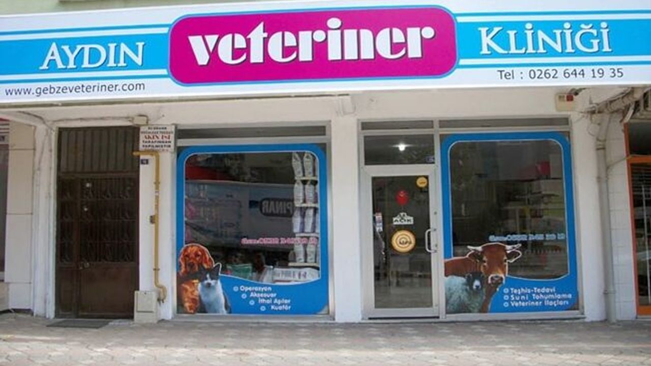 23 yıldır sokak hayvanlarının tedavilerini ücretsiz olarak yapıyor