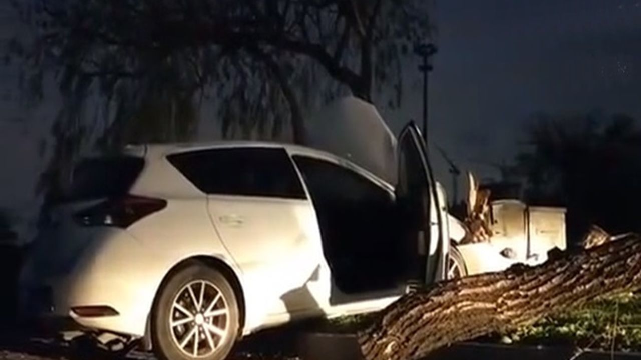 Polis memuru köpeğe çarpmamak için kaza yaptı !