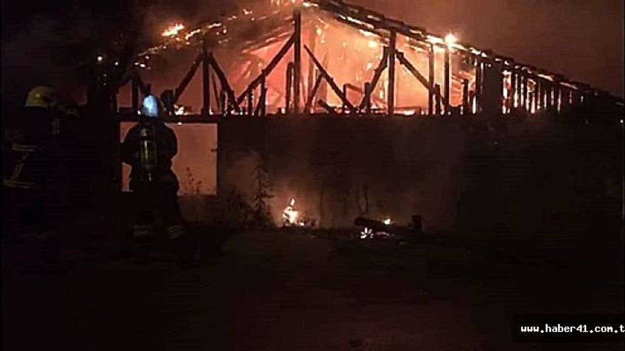 Çıkan yangına müdahale etmeye çalışan ev sahibi yaralandı!