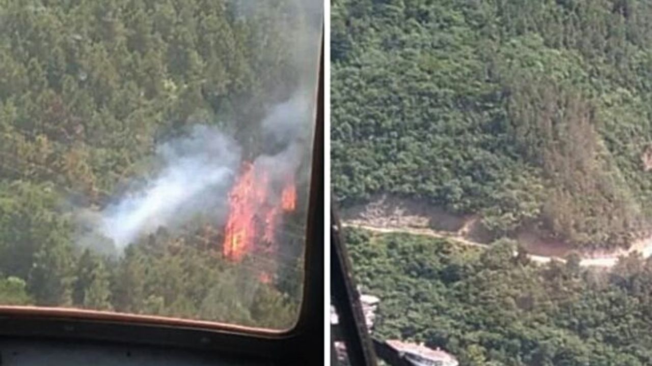 Yalova Çınarcık'taki orman yangını korkuttu
