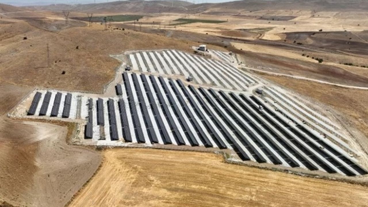 GES paneller 170 bin ağacın kesilmesini önledi!