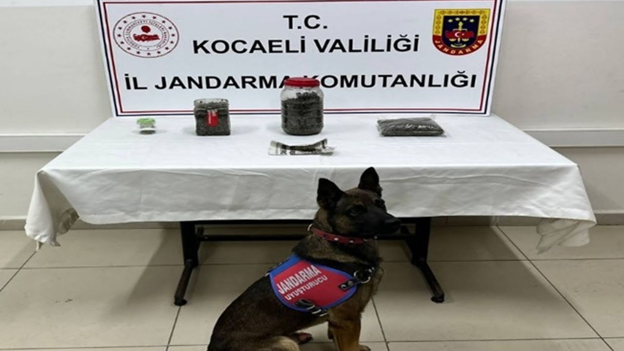Jandarma'dan  Kartepe'de uyuşturucu operasyonu!