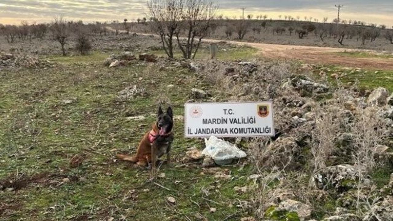 Dargeçit'te 25 kg tuzaklanmış patlayıcı ele geçirildi