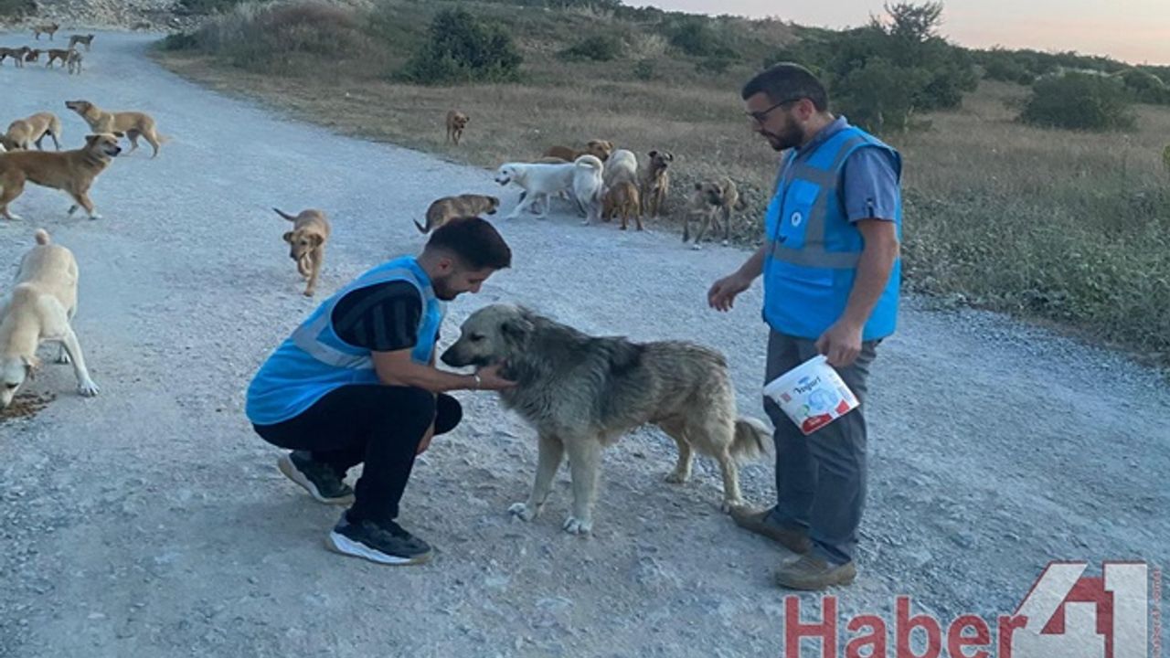 Kocaeli Gençlik Hareketi Derneğinden anlamlı etkinlik!