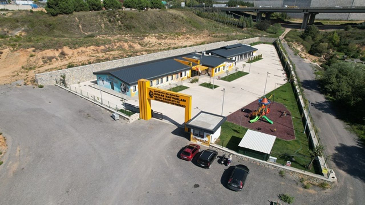 10 ayda 170 can dostumuza yuva bulundu