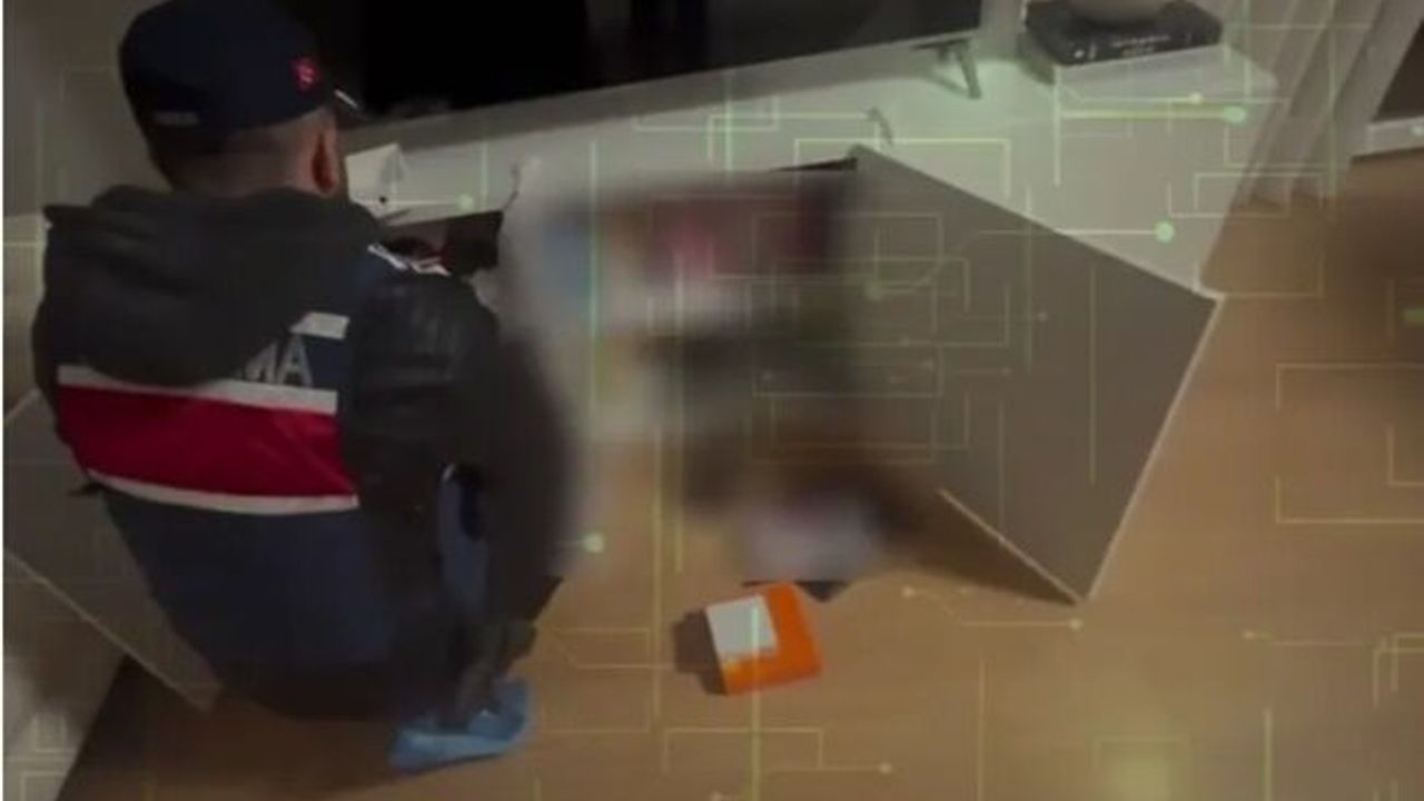 9 ilde 21 şüpheli 'Siberağ'a takıldı!