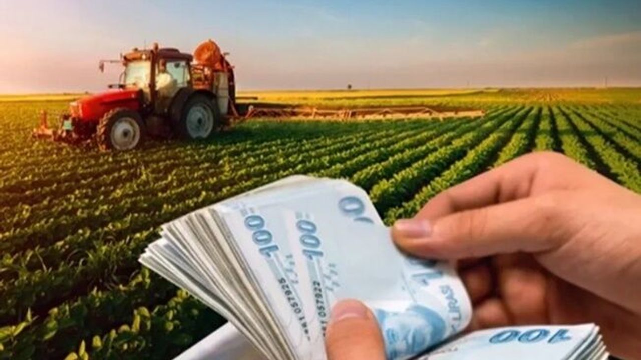 Tarımsal destekler saat 18 itibariyle hesapta