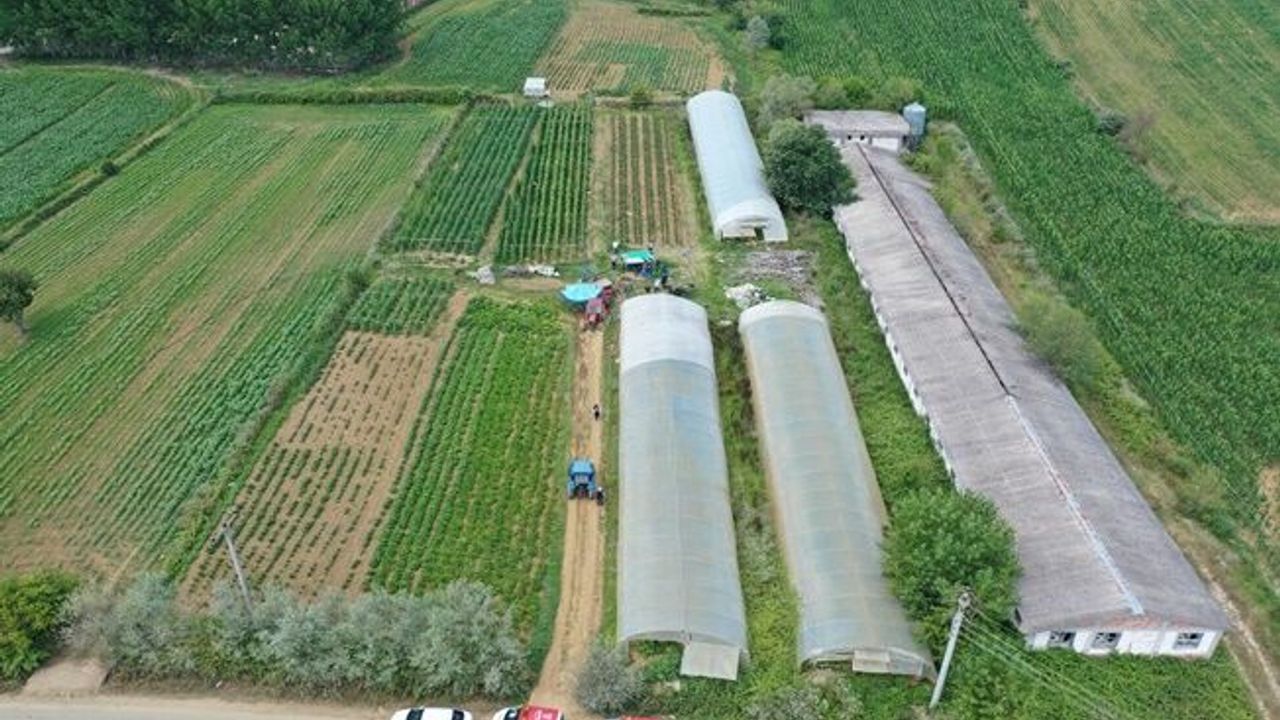 Büyükşehir’den yüzde 50 hibeli sera desteği