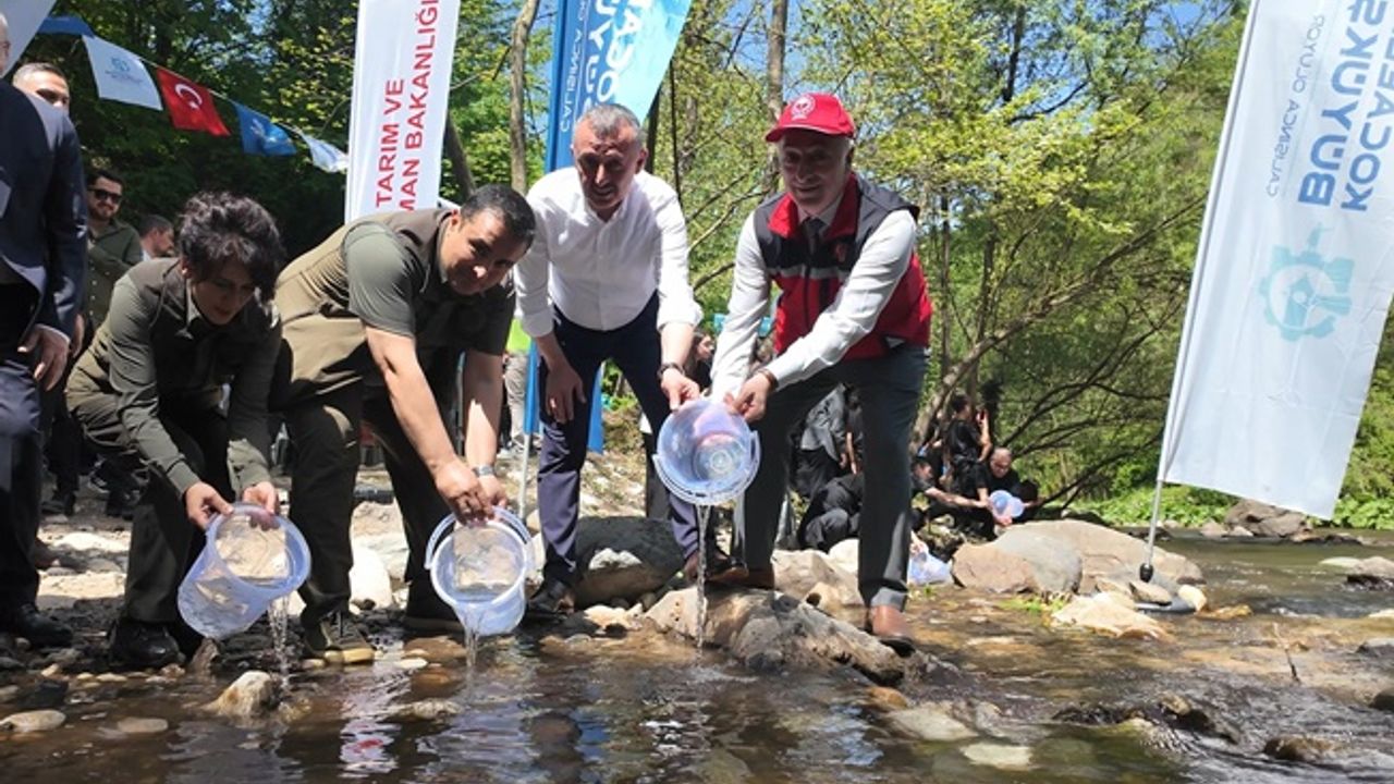 Kirazdere’ye 2 yılda 16 bin alabalık salındı