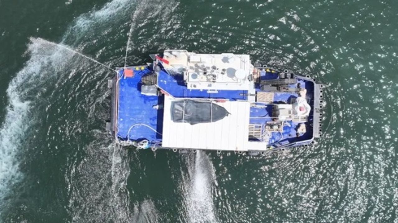 İzmir Körfezi’nde temizlik seferberliği... Modifiye kil yöntemiyle balık ölümleri azaltılıyor