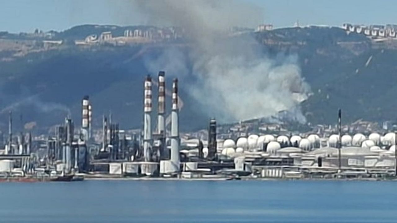 Kocaeli''de orman yangını meydana geldi: Ekiplerin çalışması devam ediyor!