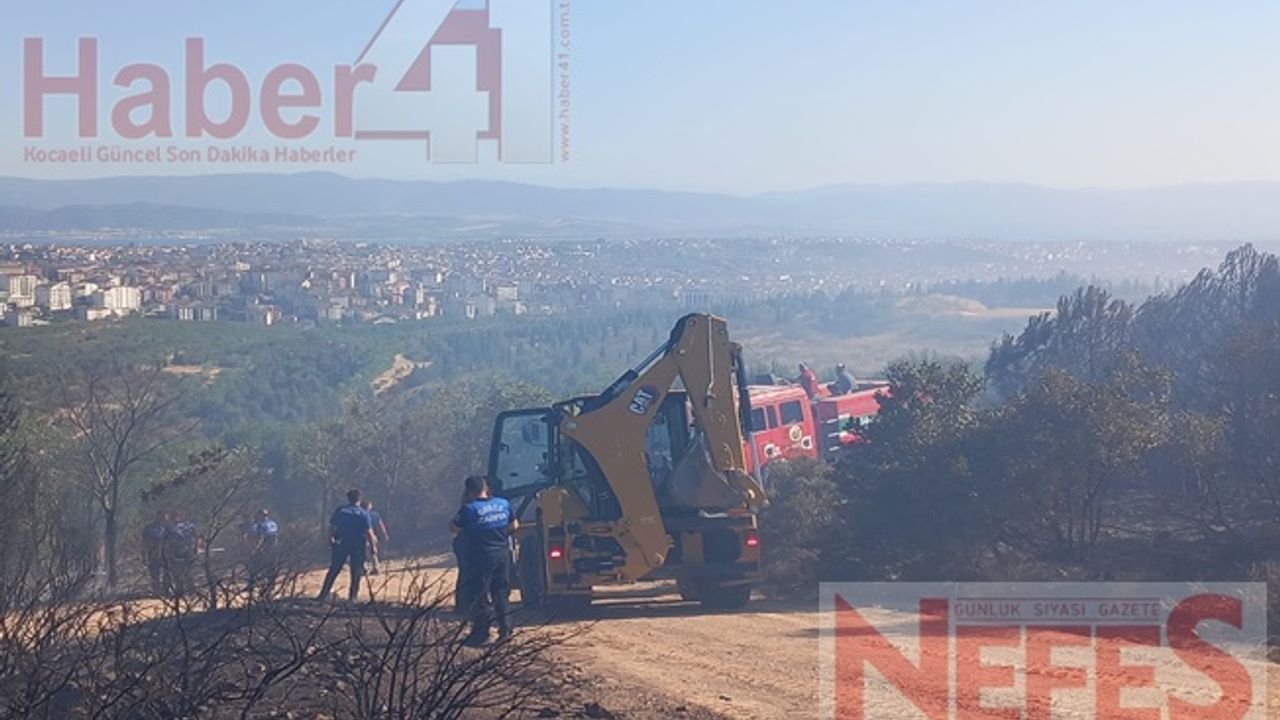 Gebze'de Orman Yangını Paniğe Yol Açtı: Ekipler Seferber Oldu