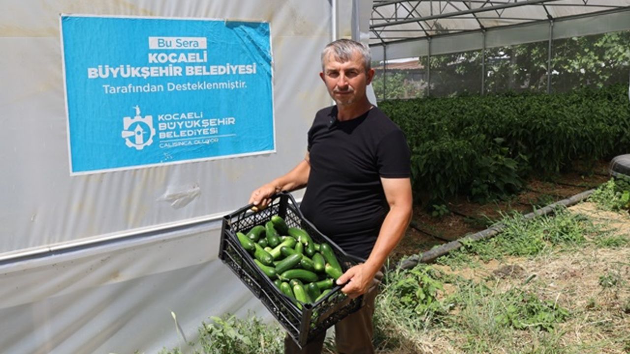 Kocaeli Büyükşehir’in desteğiyle hasat iyi, verim yüksek
