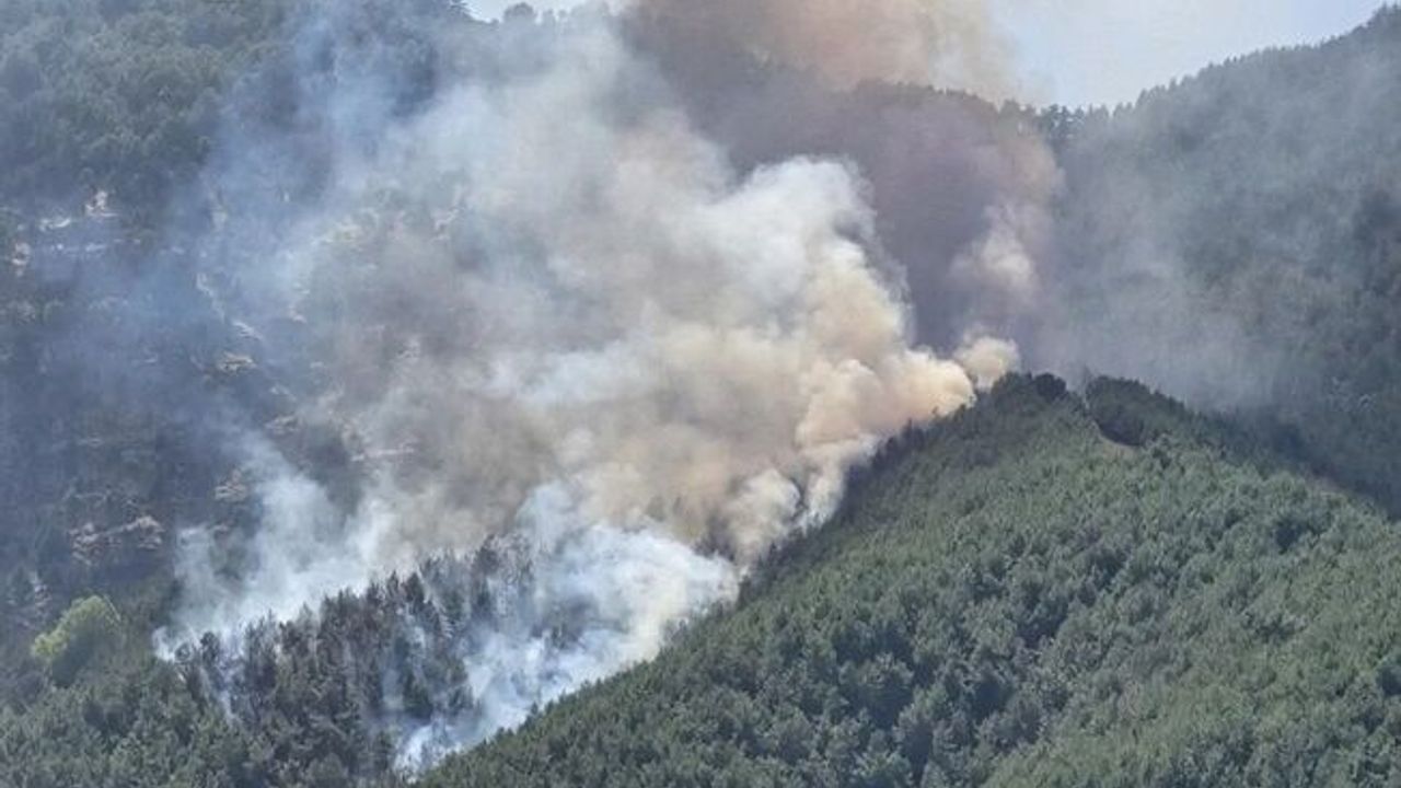 Orman yangınlarına ilişkin soruşturma: 13 kişi tutuklandı