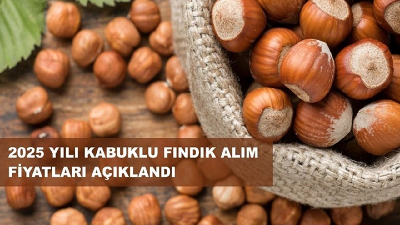 Fındık'ta Taban Fiyat Belli Oldu!