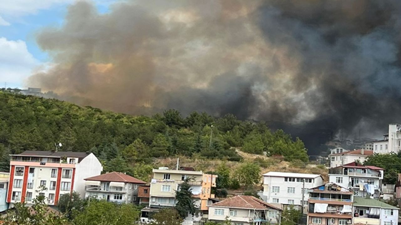İzmit'te Korkutan Orman Yangını