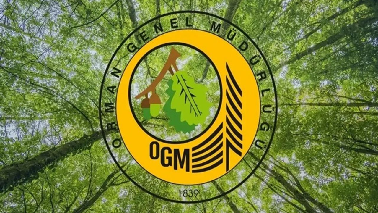OGM: Orman yangını riski yükseldi, dikkatli olalım!