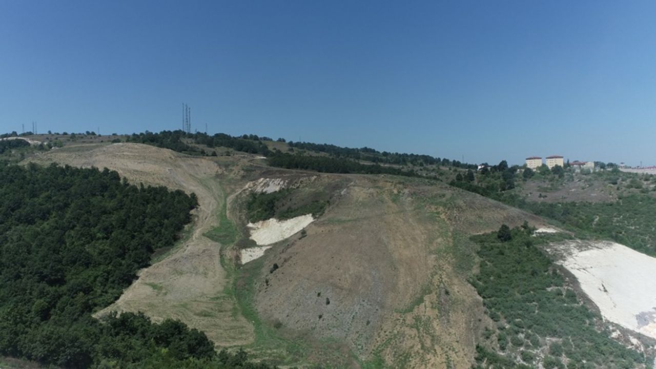 Kandıra Akçakese’ye 4.500 ağaçlık doğal orman