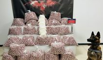 220 Kilo Zehir Yüklü Tır Gebze’de Yakalandı