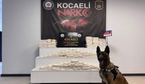TEM Otoyolu’nda Zehir Operasyonu: 82 Kilo Metamfetamin Ele Geçirildi