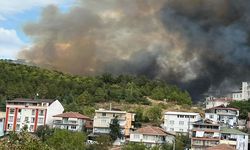 İzmit'te Korkutan Orman Yangını
