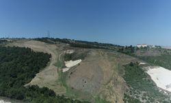 Kandıra Akçakese’ye 4.500 ağaçlık doğal orman