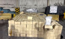 Derince Limanı’nda 1,5 Tonluk Skunk Operasyonu: 5 Şüpheli Yakalandı