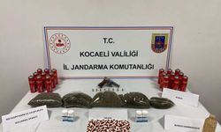 Gebze’de Zehir Tacirine Darbe: Kilolarca Bonzai ve Silah Ele Geçirildi