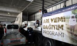 Kocaeli Büyükşehir’den arıcılara yüzde 50 hibeli arı yemi