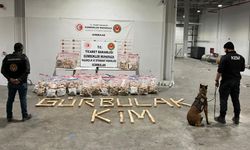 Gürbulak Gümrük Kapısı’nda yüzlerce kilo uyuşturucu ele geçirildi