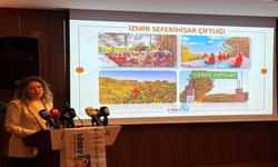 LÖSEV’den Kocaeli’ye Şube Çağrısı: “Modül LÖSEV Açmak İçin Yer Arıyoruz”