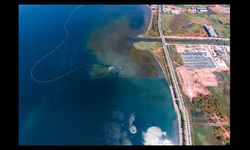 Deniz temizleniyor, ekosistem güçleniyor