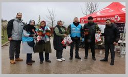 İzmit Belediyesi mezarlıklar için binlerce fide dağıttı