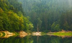 Milli parklar ve doğa korumada Kanun teklifi TBMM'de kabul edildi