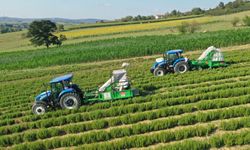 Kocaeli'de 7 yılda tarıma 1,4 milyar destek!