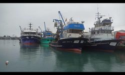 Kocaeli’de denizlerde av yasağı başladı