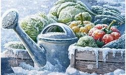 Kocaeli'de üreticilere 'zirai don' uyarısı