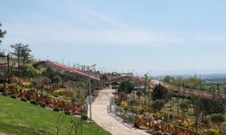 Pelitli Bayraktepe Mesire Alanı’nda çalışmalar tam gaz