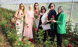Kocaeli’nin ilk gül serası kadın elinden