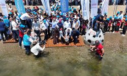 “Yaşamın İzinde: Deniz Yuvaları Projesi” Darıca Sahili’nde Büyüyor