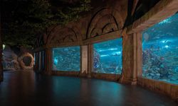 Körfez Aqua 7’den 70’e herkesi büyüledi