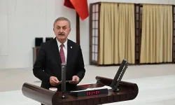 Kroman Çelik'in Cüruf Tesisi Projesine Olumsuz Karar