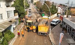 DİLİSKELESİ’NDE ELEKTRİK HATLARI YER ALTINA ALINIYOR