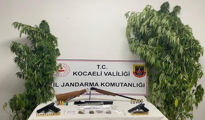 Jandarmadan Karamürsel'de uyuşturucu baskını