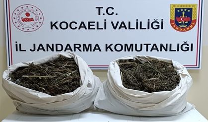 İzmit'te bir eve baskın: 7 kilo uyuşturucu ele geçirildi