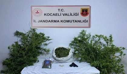 Kandıra'da  uyuşturucu operasyonu