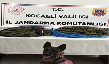 Uyuşturucu taciri 2 şahıs yakalandı