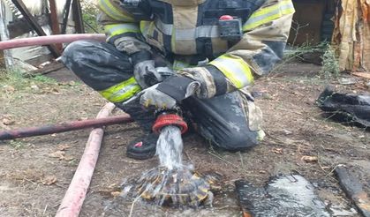 Yangından kurtarıldı suyla soğutuldu doğaya salındı