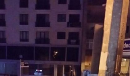 Feci Kaza'nın Kamera Görüntüsü Ortaya Çıktı